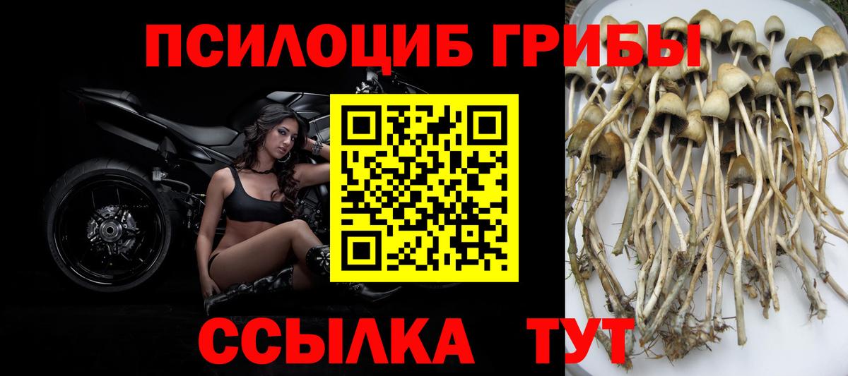 Псилоцибиновые грибы MAGIC MUSHROOMS Жуковский